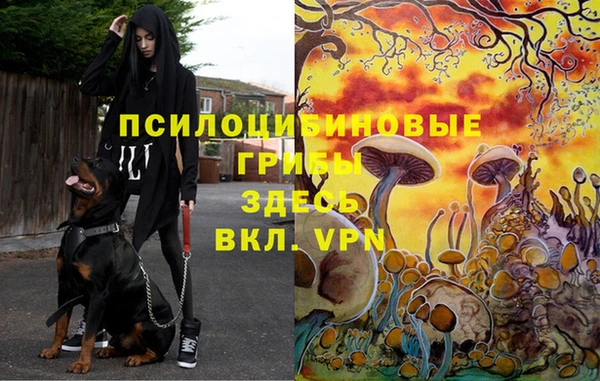 эйфоретик Армянск