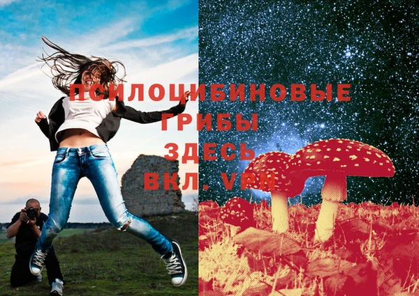 эйфоретик Армянск