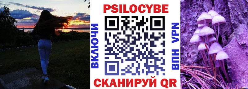 Купить закладки  Спасск  Галлюциногенные грибы мицелий 