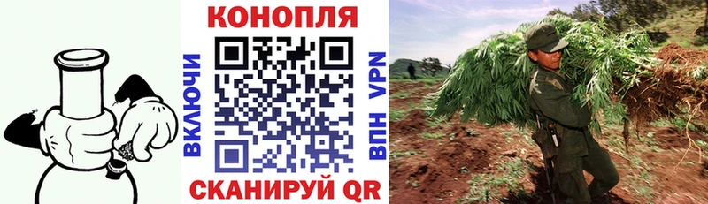 Бошки Шишки Bruce Banner  Купить закладки  Спасск 